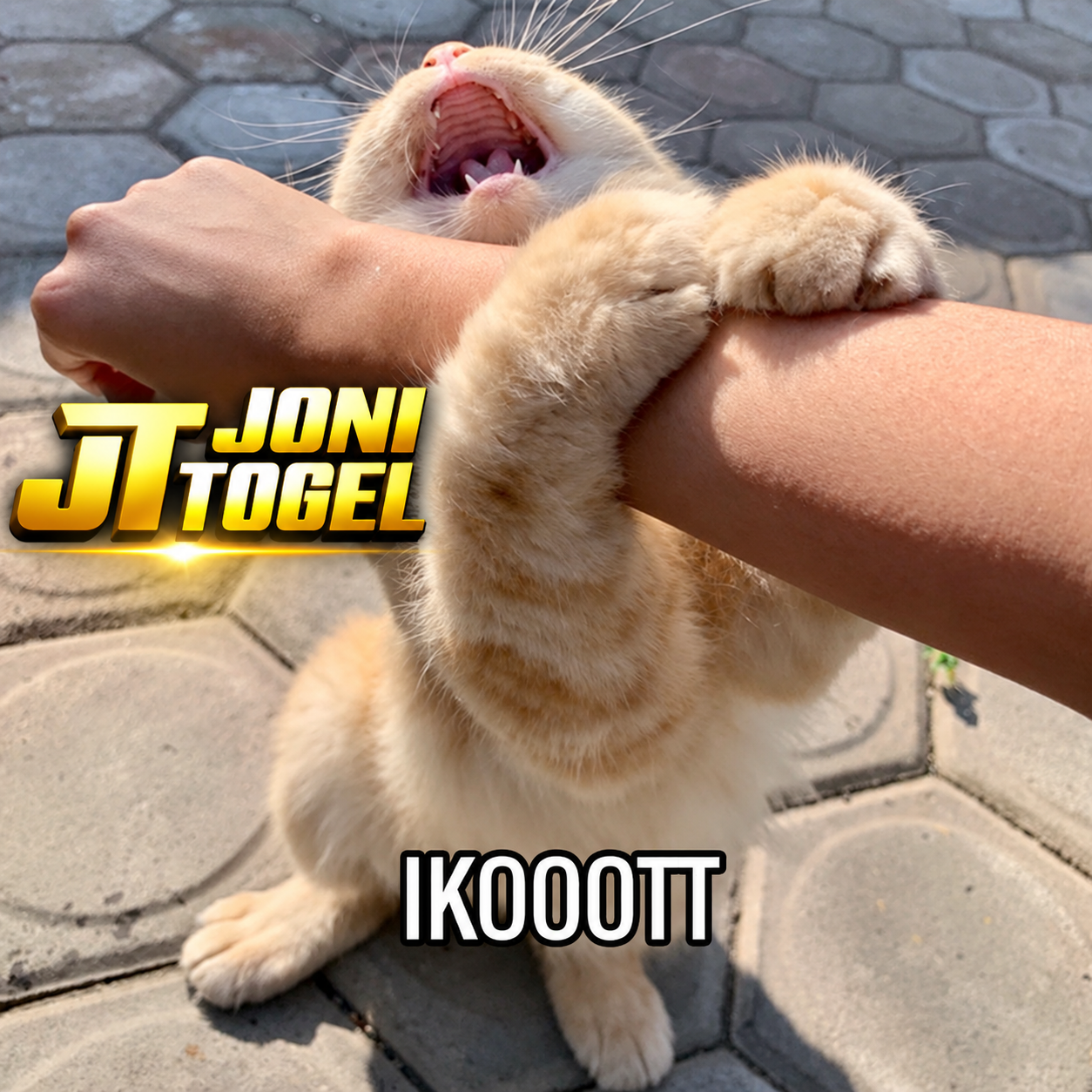 Banner Jonitogel